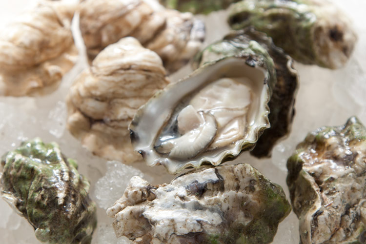 Union Market - Oysters and Caviar for New Year's Eve