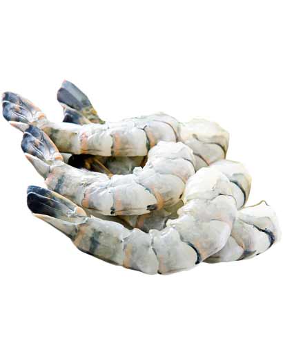 Shrimp<br>RAW 16-20 count Shrimp<br>RAW 16-20 count