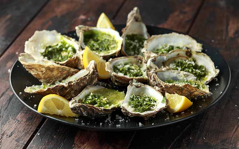 20230413-Broiled-Oysters-Ramp-Butter-Parmesan-800x500