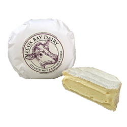 Mecox Dairy<br>Atlantic Mist Mecox Dairy<br>Atlantic Mist