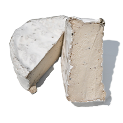 Rebel<br>Plant-Based Cheese Rebel<br>Plant-Based Cheese